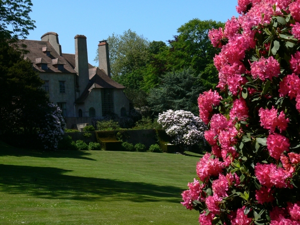 Bois des Moutiers (272) Mai 2012